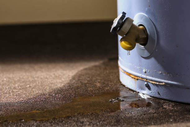 Best Local water damage restoration  in San Augustine, TX