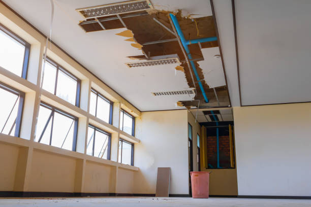 Best Water damage restoration near me  in San Augustine, TX