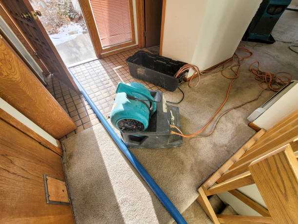 Best Water damage restoration near me  in San Augustine, TX