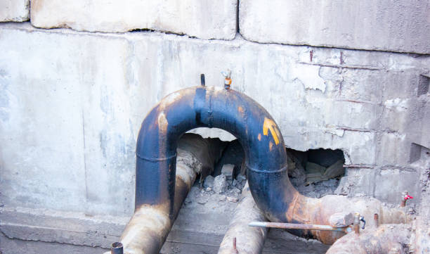 Best Professional water damage repair  in San Augustine, TX