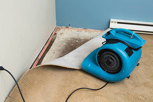Best Water damage contractors near me  in San Augustine, TX